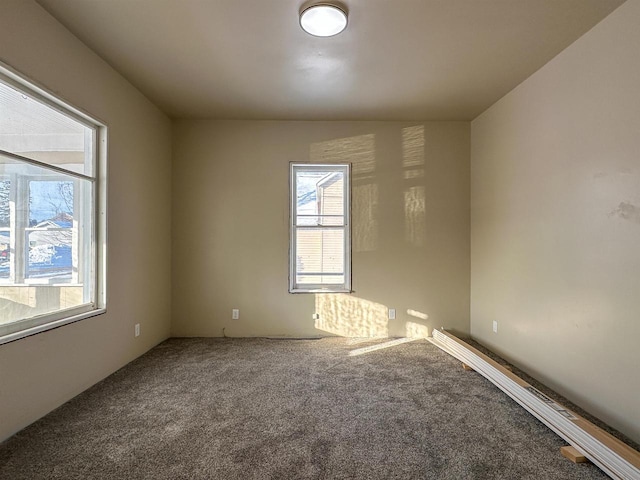 unfurnished room with carpet flooring