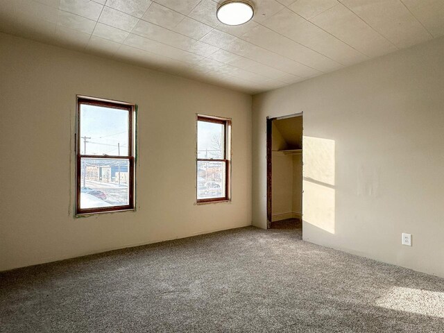 unfurnished bedroom with a closet and carpet