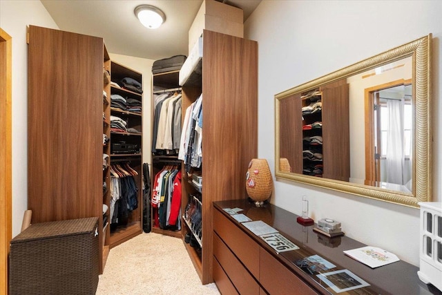 walk in closet with wood finished floors