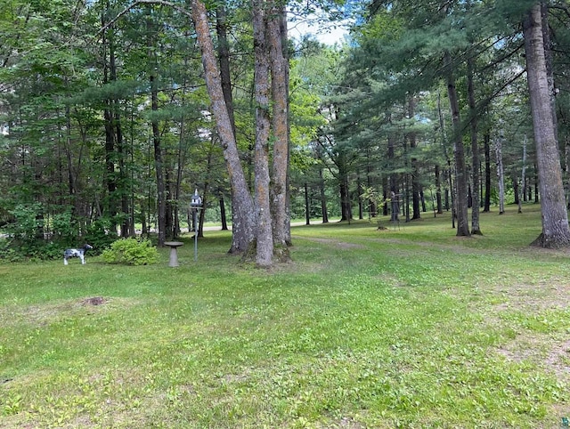 view of yard with a wooded view