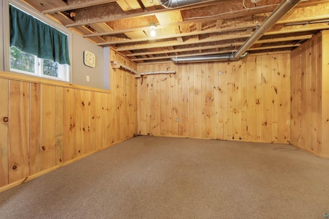 below grade area with wood walls and carpet floors