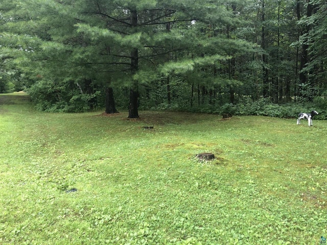 view of yard with a forest view