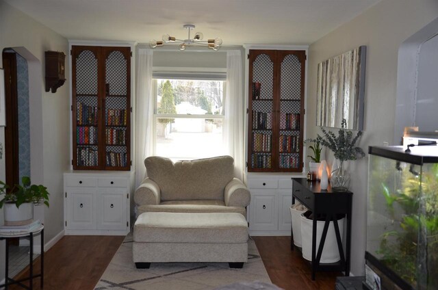 living area featuring baseboards and dark wood-type flooring