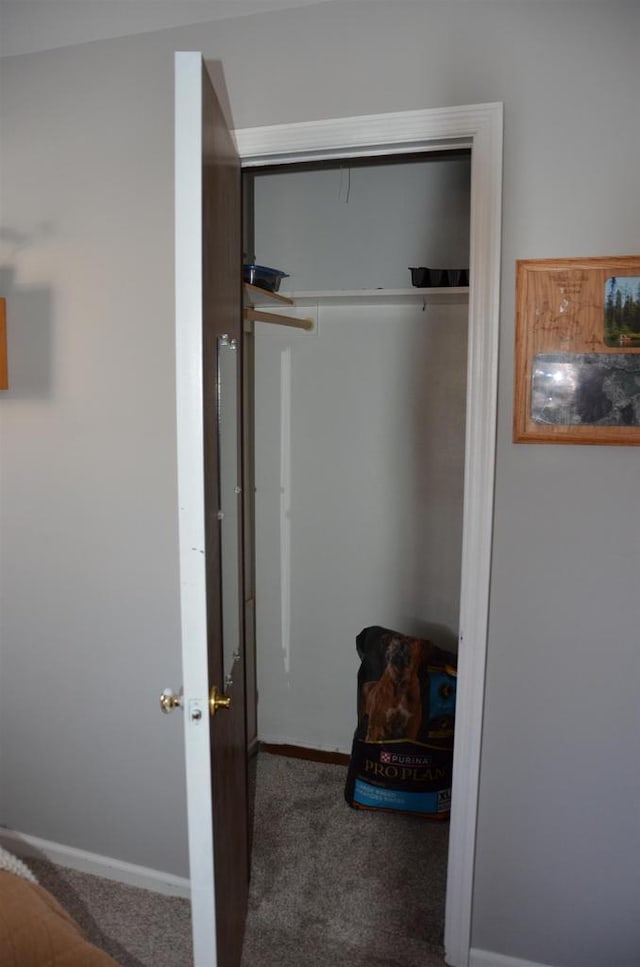 view of closet