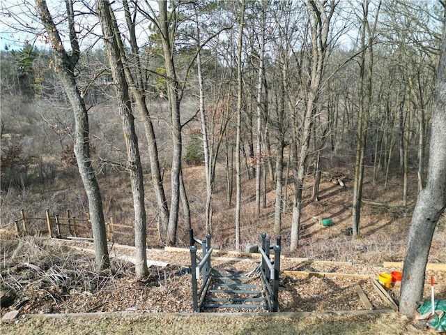 view of local wilderness featuring a wooded view