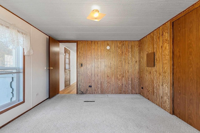 spare room featuring carpet floors, wooden walls, and a healthy amount of sunlight