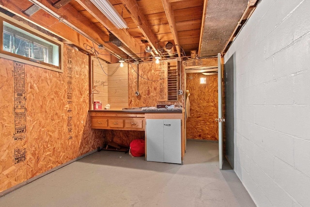 basement featuring concrete block wall