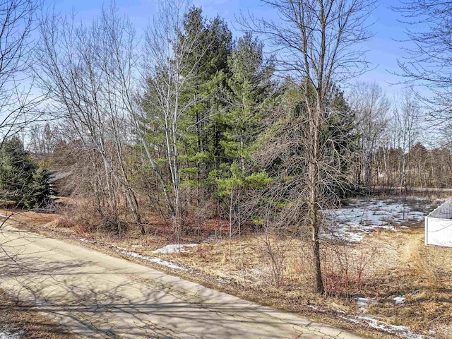 Knoke St, Gresham WI, 54128 land for sale