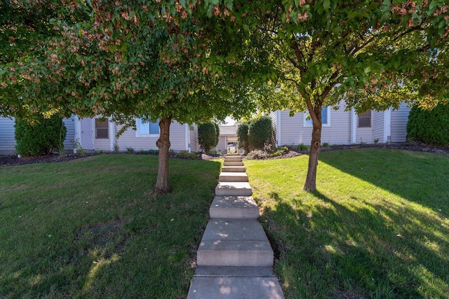 obstructed view of property with a front lawn