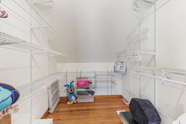 walk in closet with light wood-type flooring