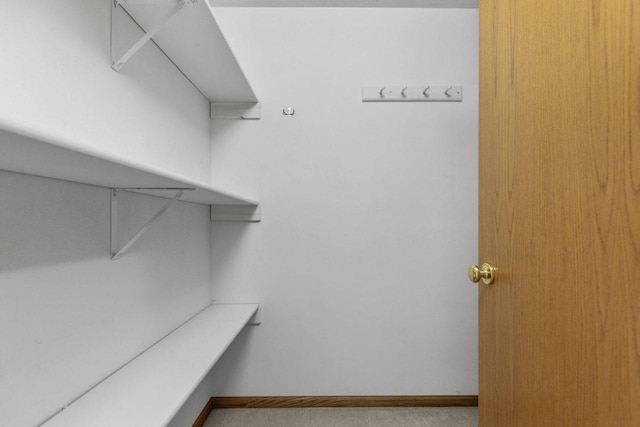 spacious closet with carpet floors