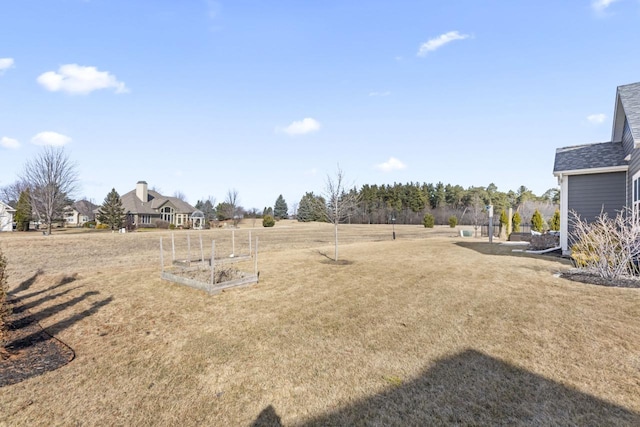 view of yard with a vegetable garden