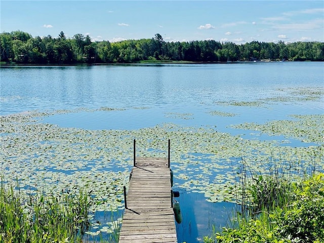 view of dock featuring a water view and a wooded view