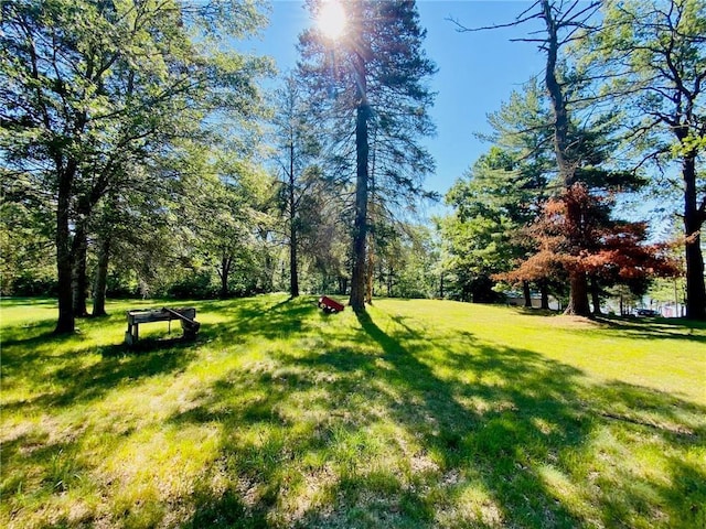 view of community featuring a lawn