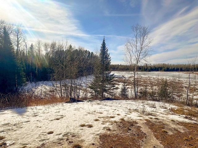 view of snowy yard