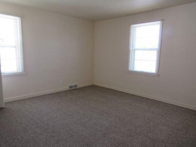 carpeted empty room featuring visible vents, plenty of natural light, and baseboards