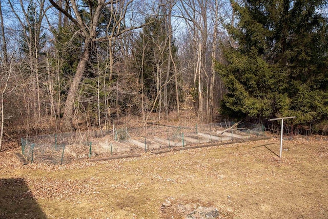 view of yard with a garden