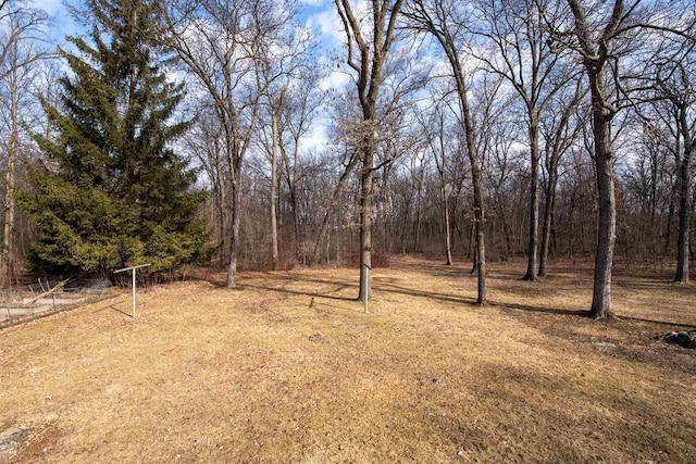 view of yard with a wooded view