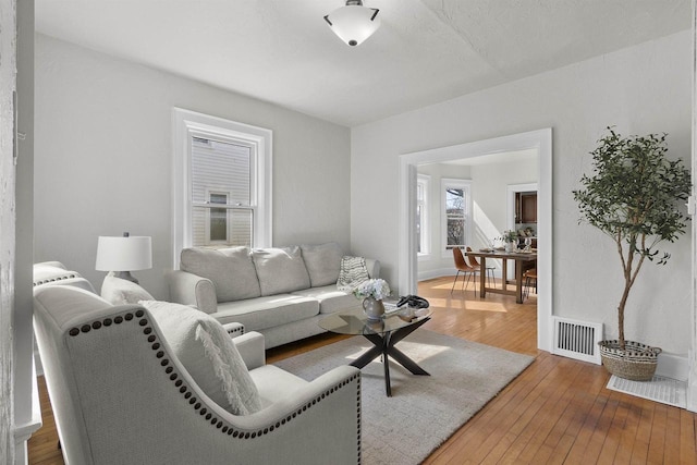 living area with visible vents and wood-type flooring