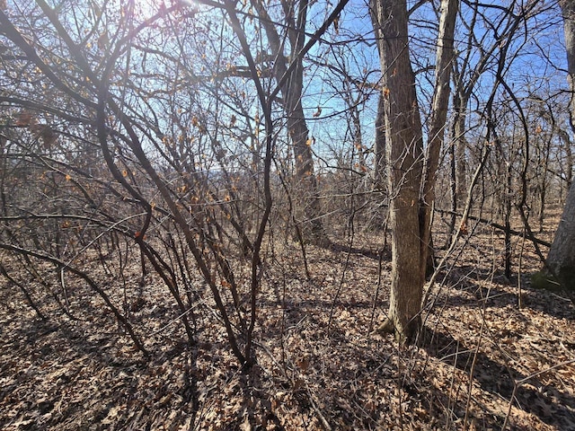 view of local wilderness