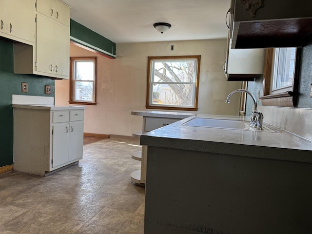 kitchen featuring baseboards and a sink