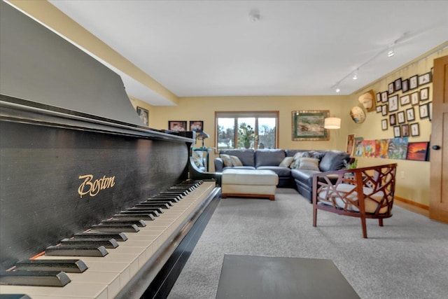 living room featuring rail lighting and carpet floors