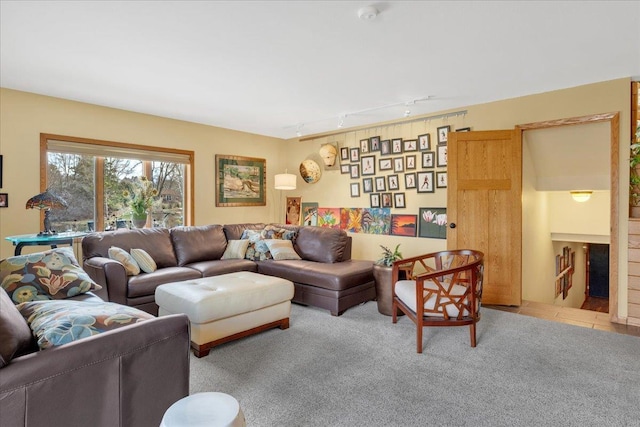 living area with rail lighting and carpet floors