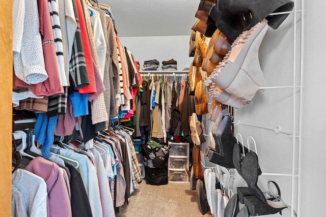 spacious closet featuring carpet floors