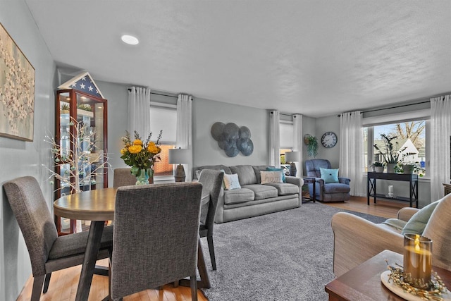 living area featuring wood finished floors