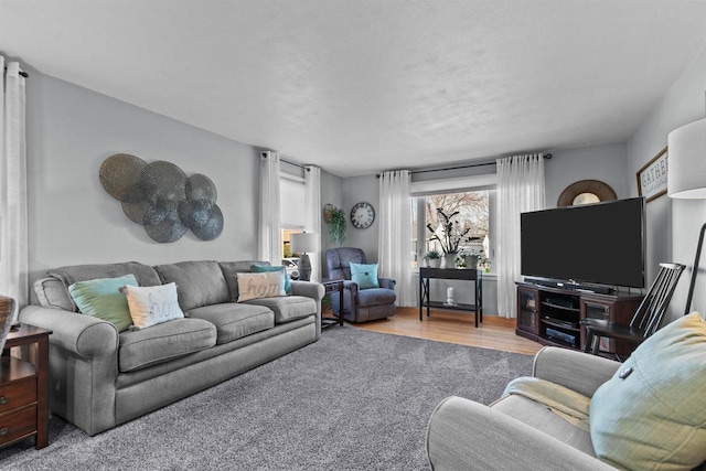 carpeted living area with wood finished floors