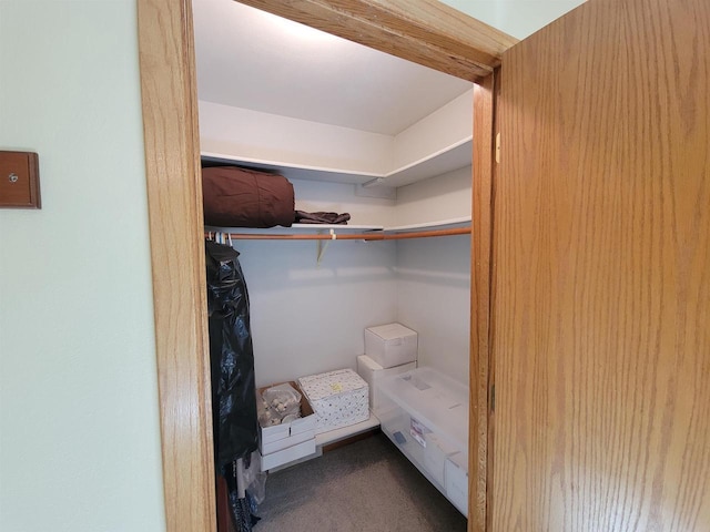 spacious closet featuring carpet flooring