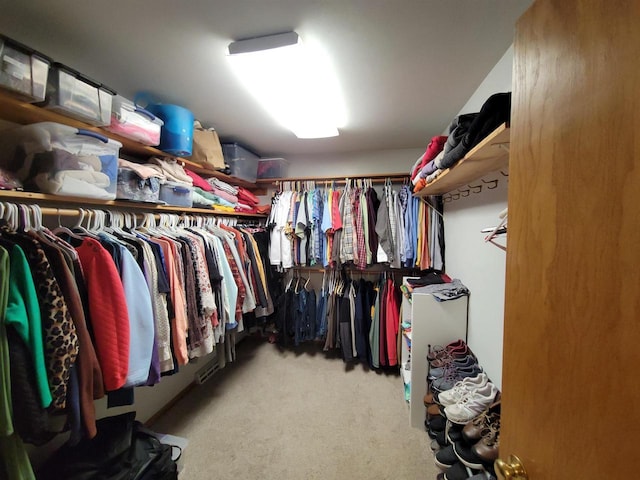 spacious closet with carpet