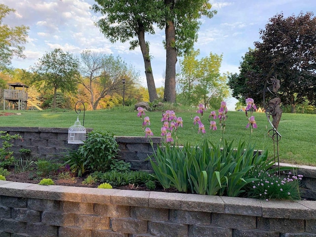 view of property's community with a lawn