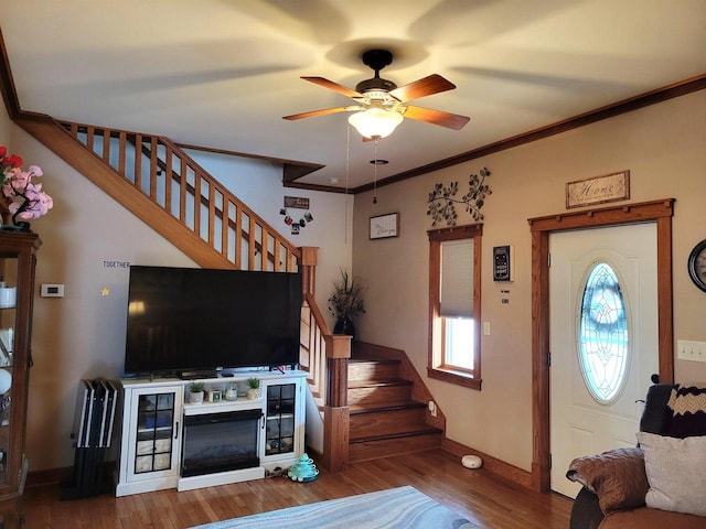 living room with wood finished floors, crown molding, baseboards, ceiling fan, and stairs