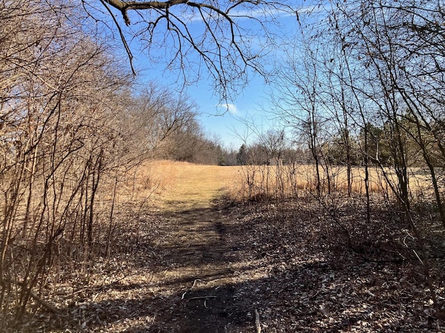 view of landscape