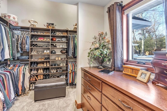 spacious closet featuring light colored carpet