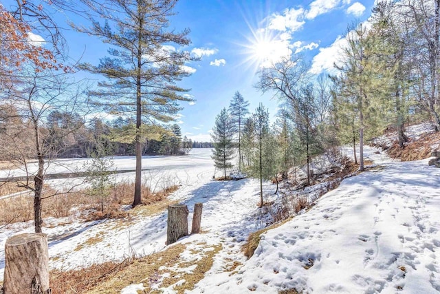 view of yard covered in snow