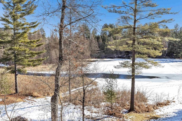 property view of water with a wooded view