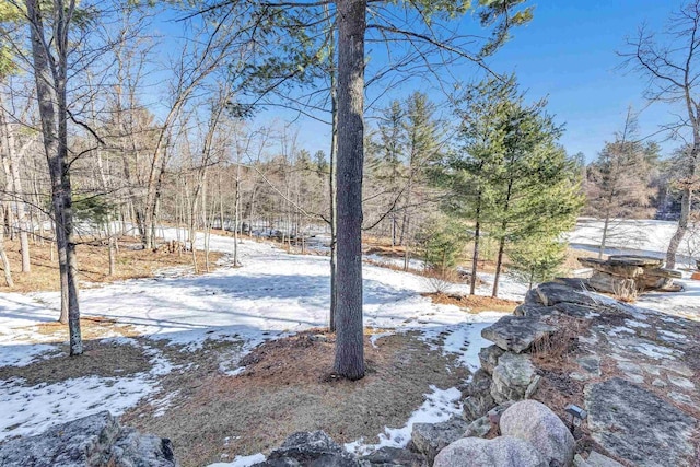 view of yard layered in snow