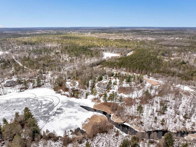 snowy aerial view with a view of trees