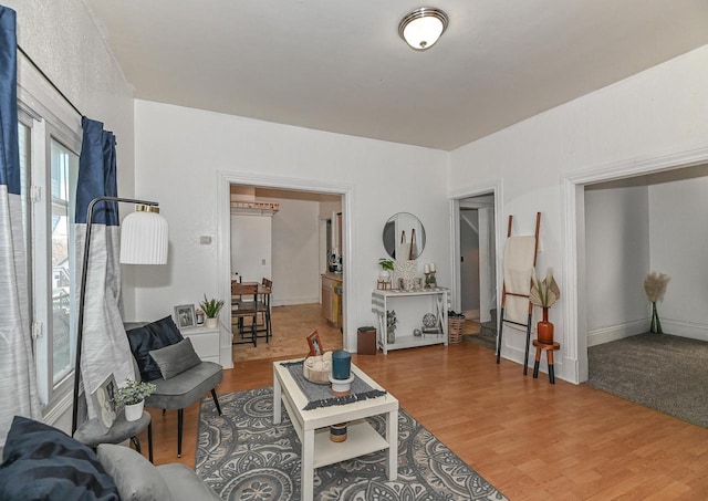 living room featuring wood finished floors