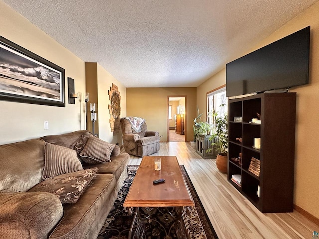 living room featuring wood finished floors and a textured ceiling