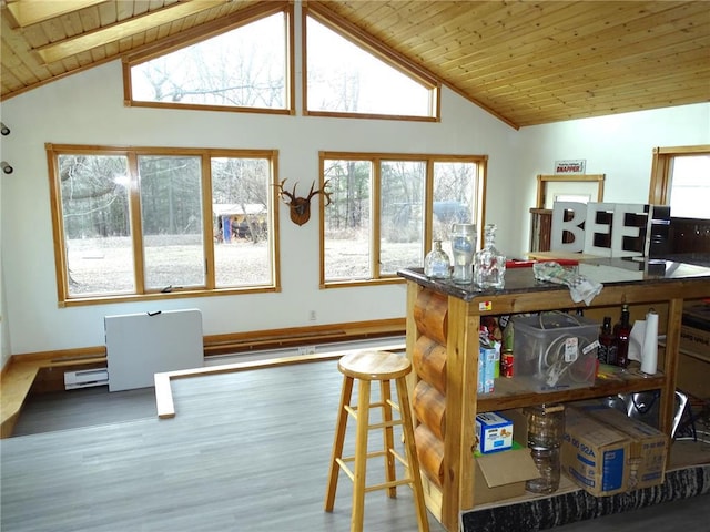 kitchen featuring wooden ceiling, wood finished floors, a healthy amount of sunlight, and high vaulted ceiling