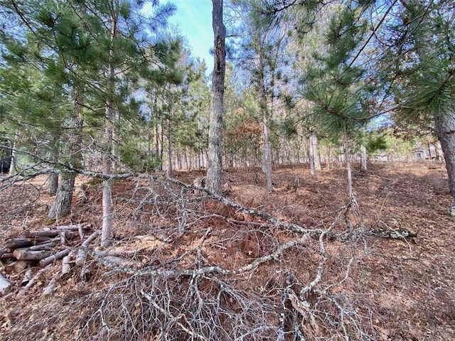 view of local wilderness