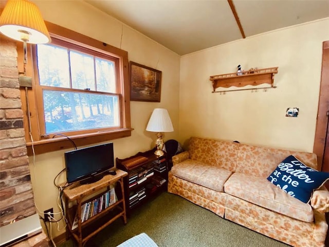 living room featuring carpet floors