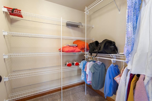 walk in closet with carpet floors