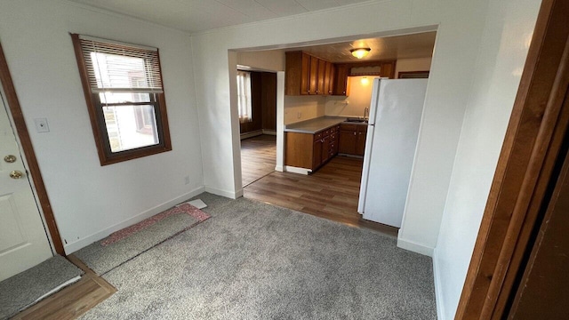 kitchen featuring baseboards, brown cabinets, carpet floors, and freestanding refrigerator