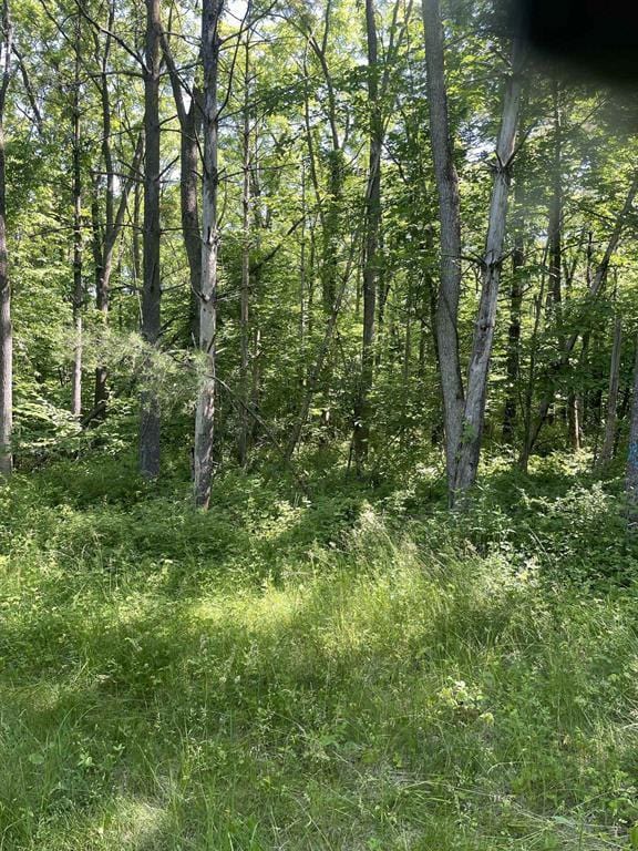 Listing photo 3 for 49A/- Hippy Hollow Rd, Potosi WI 53820