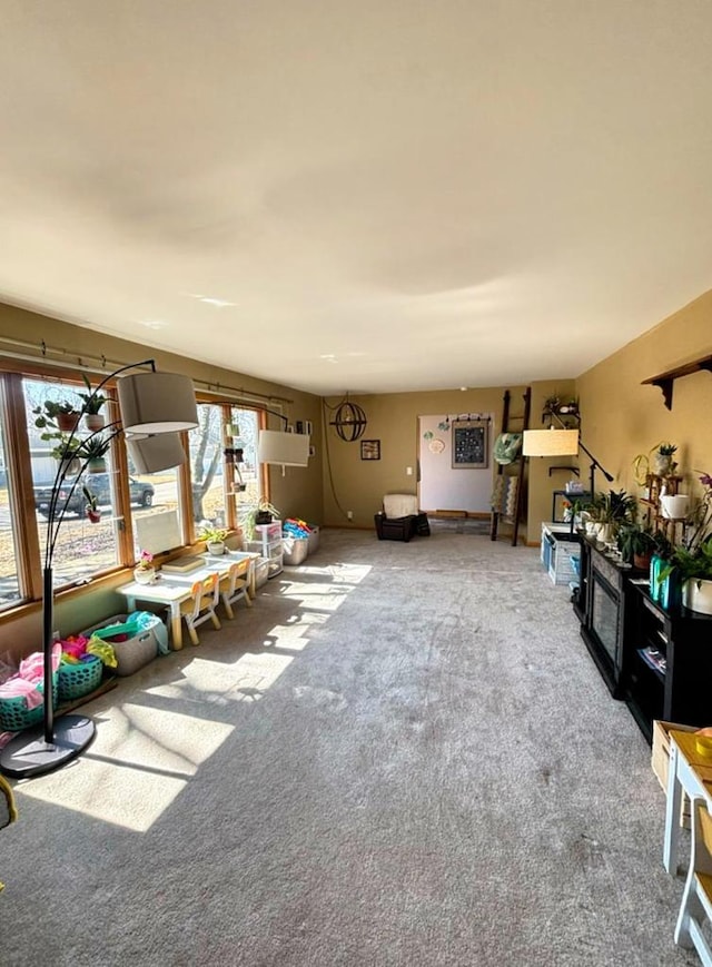 view of carpeted living area