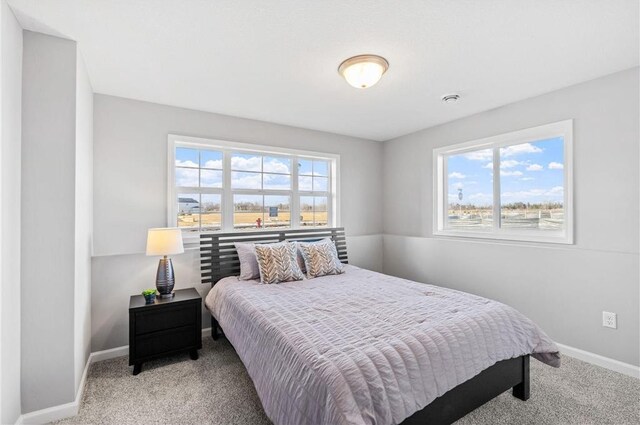 bedroom with baseboards and carpet floors